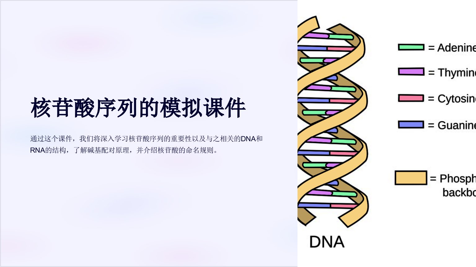 核苷酸序列的模拟课件