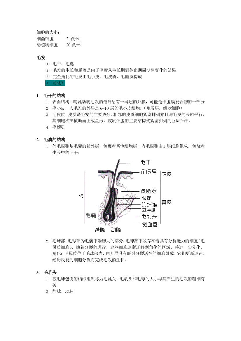 人体毛发基础知识点及图解