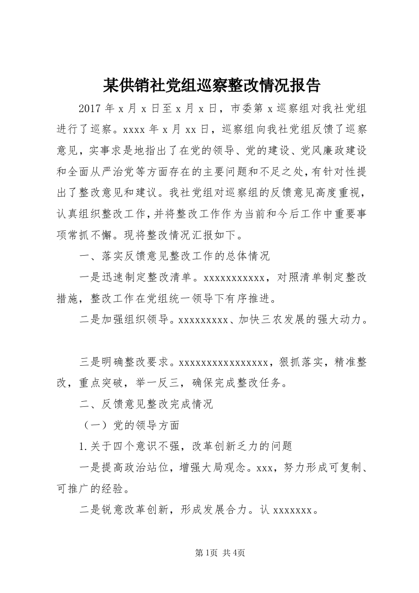 某供销社党组巡察整改情况报告