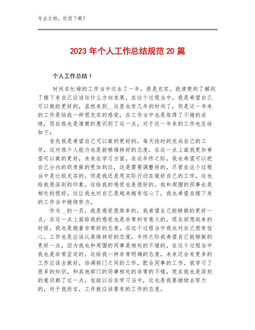 2023年个人工作总结规范20篇