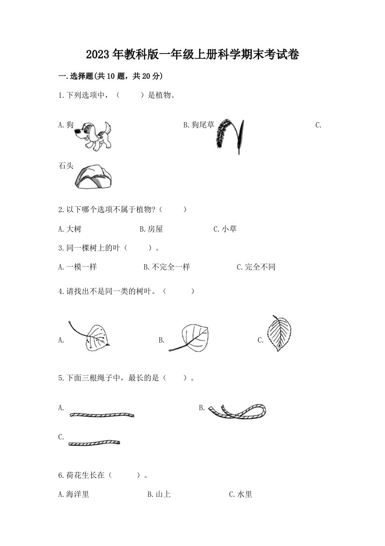 2023年教科版一年级上册科学期末考试卷精品带答案