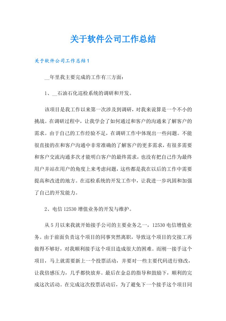 关于软件公司工作总结