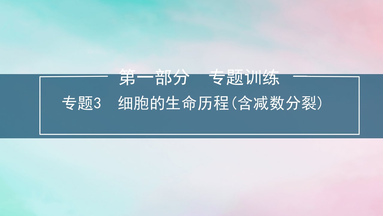 新教材2024届高考生物考前冲刺刷题第1部分专题训练专题3细胞的生命历程含减数分裂课件