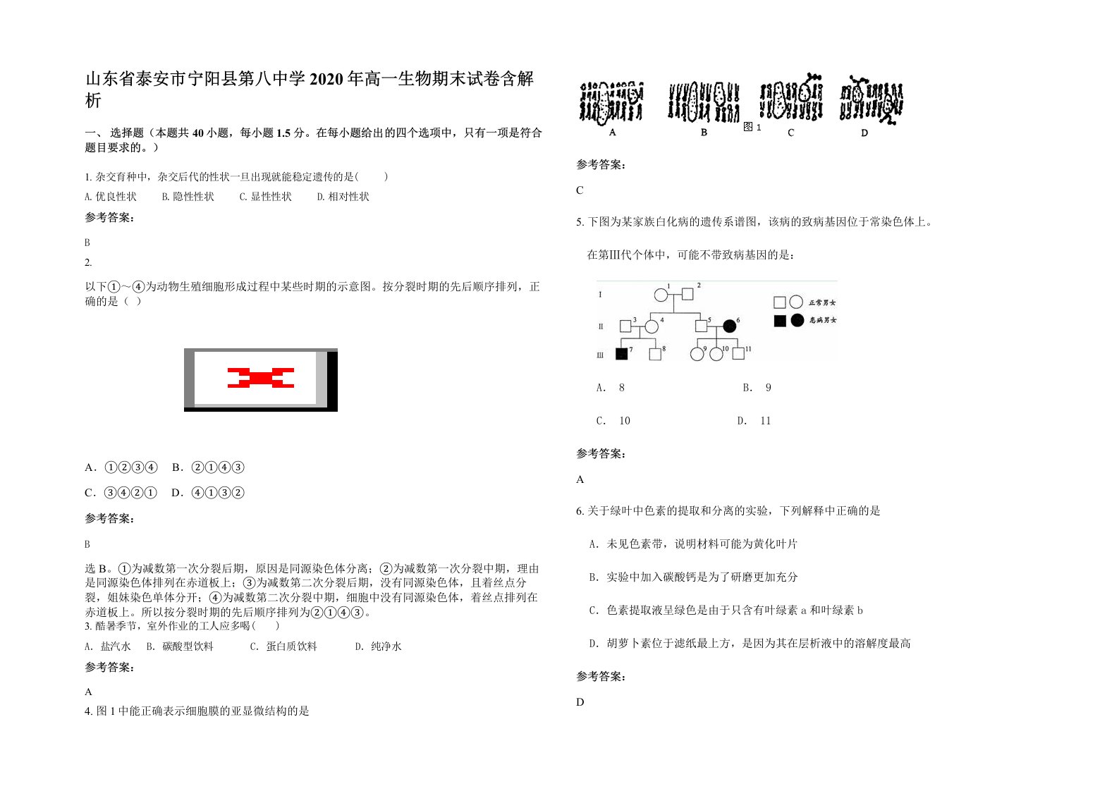 山东省泰安市宁阳县第八中学2020年高一生物期末试卷含解析