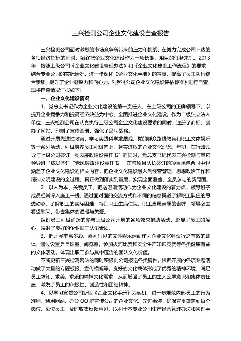 三兴检测公司企业文化建设自查报告