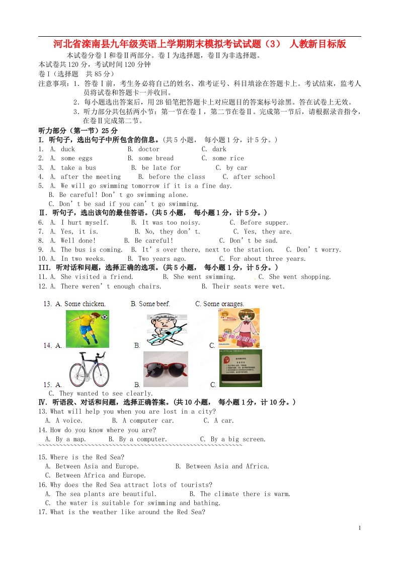 河北省滦南县九级英语上学期期末模拟考试试题（3）