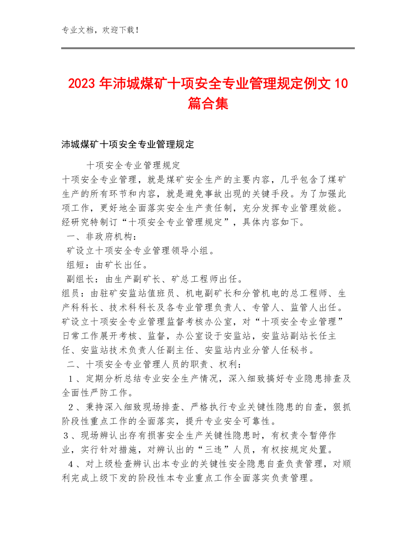 2023年沛城煤矿十项安全专业管理规定例文10篇合集