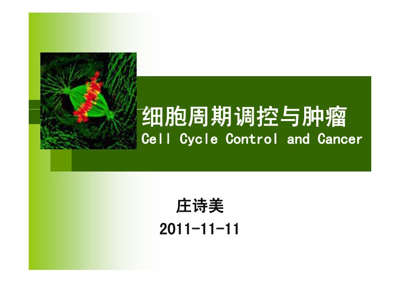 肿瘤生物学课件-细胞周期与肿瘤