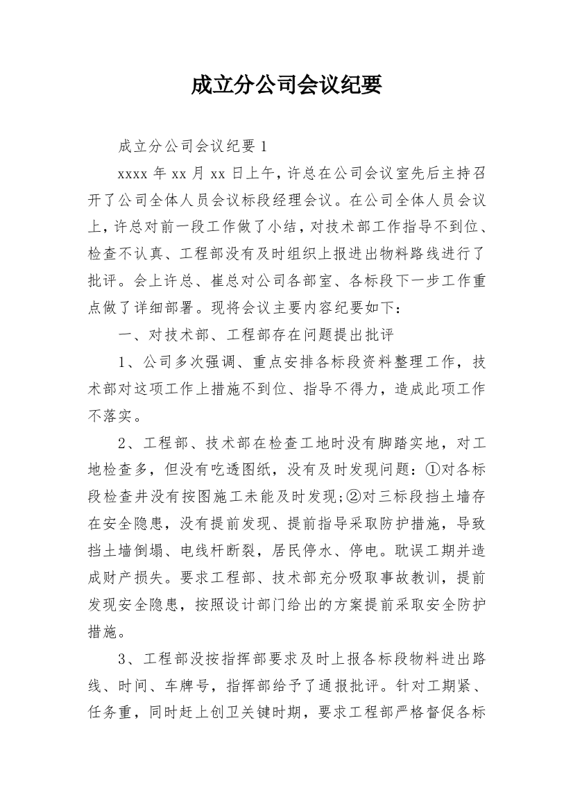 成立分公司会议纪要