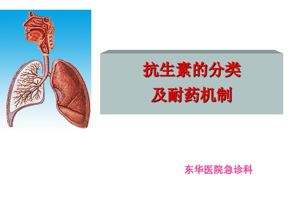 抗生素的分类及耐药机制