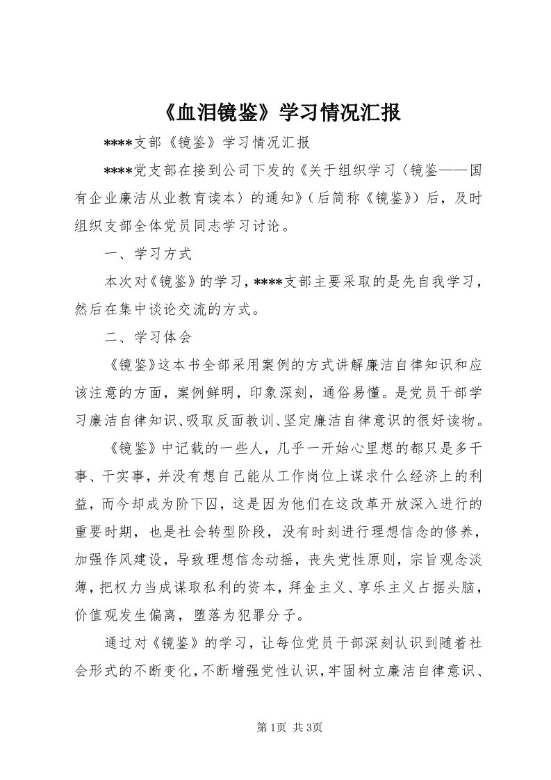 《血泪镜鉴》学习情况汇报