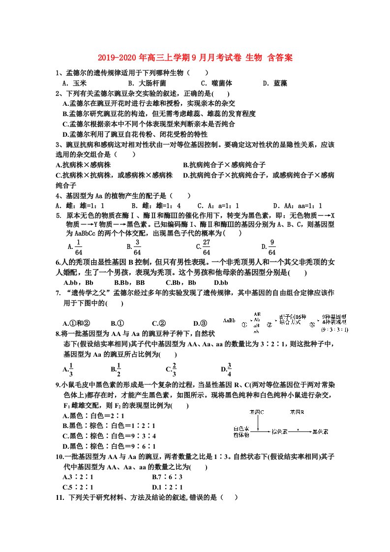 2019-2020年高三上学期9月月考试卷