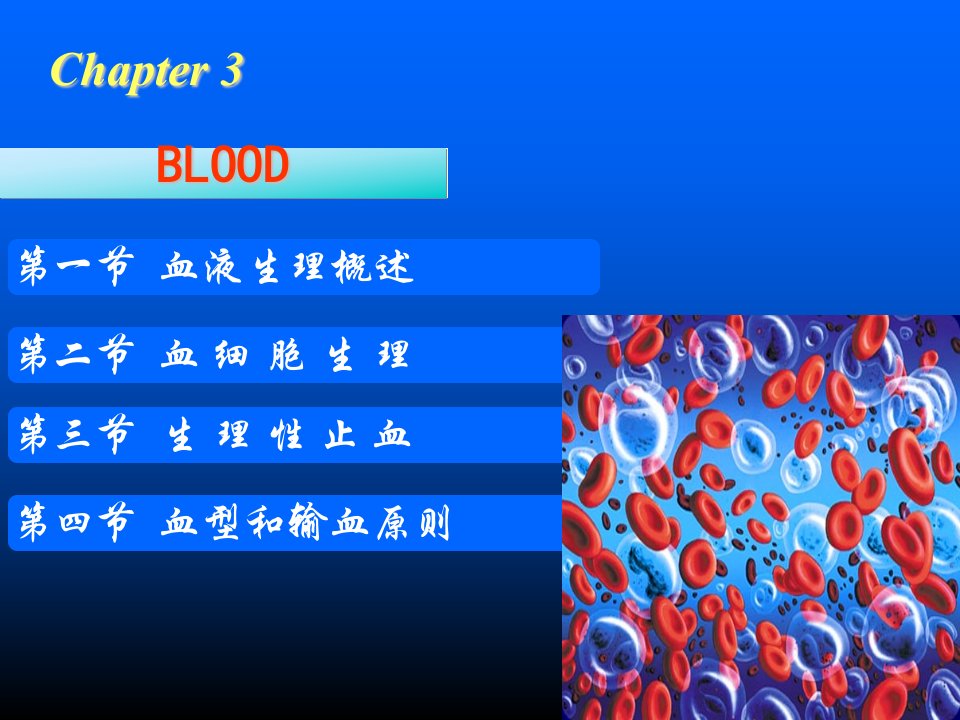 大学医学院生理版课件教材-第3章血液