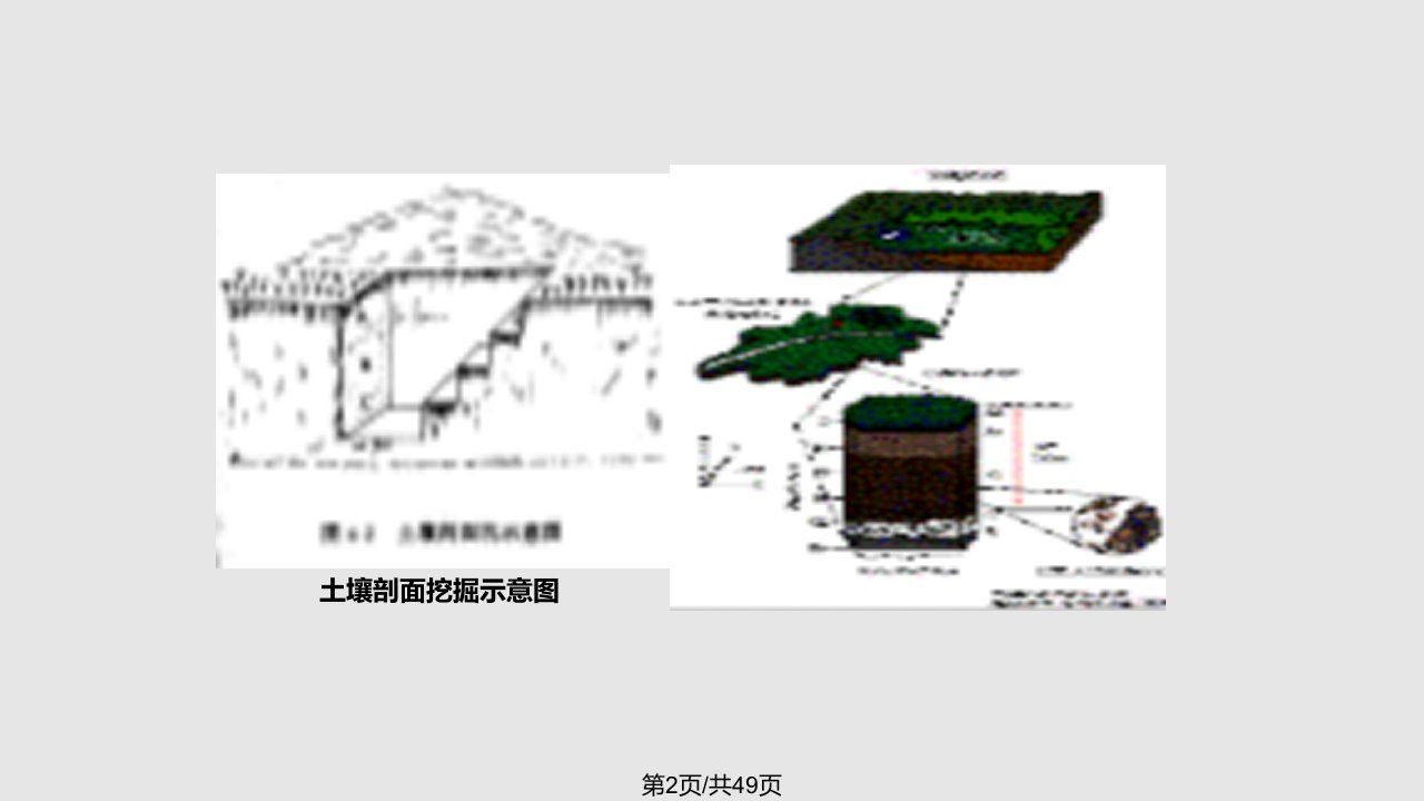 土壤组成与结构矿物质