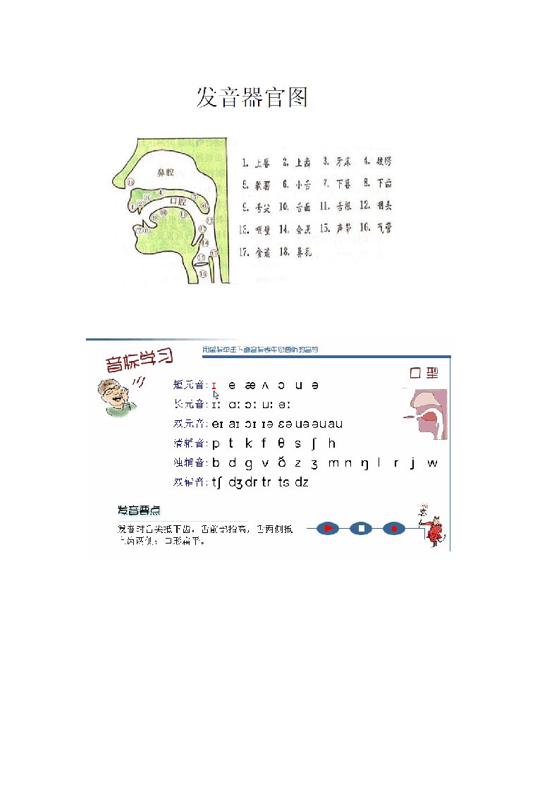 英语国际音标发音口型-舌位一览表