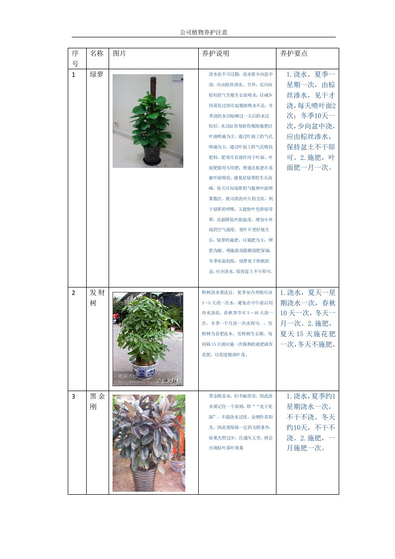 公司植物养护说明