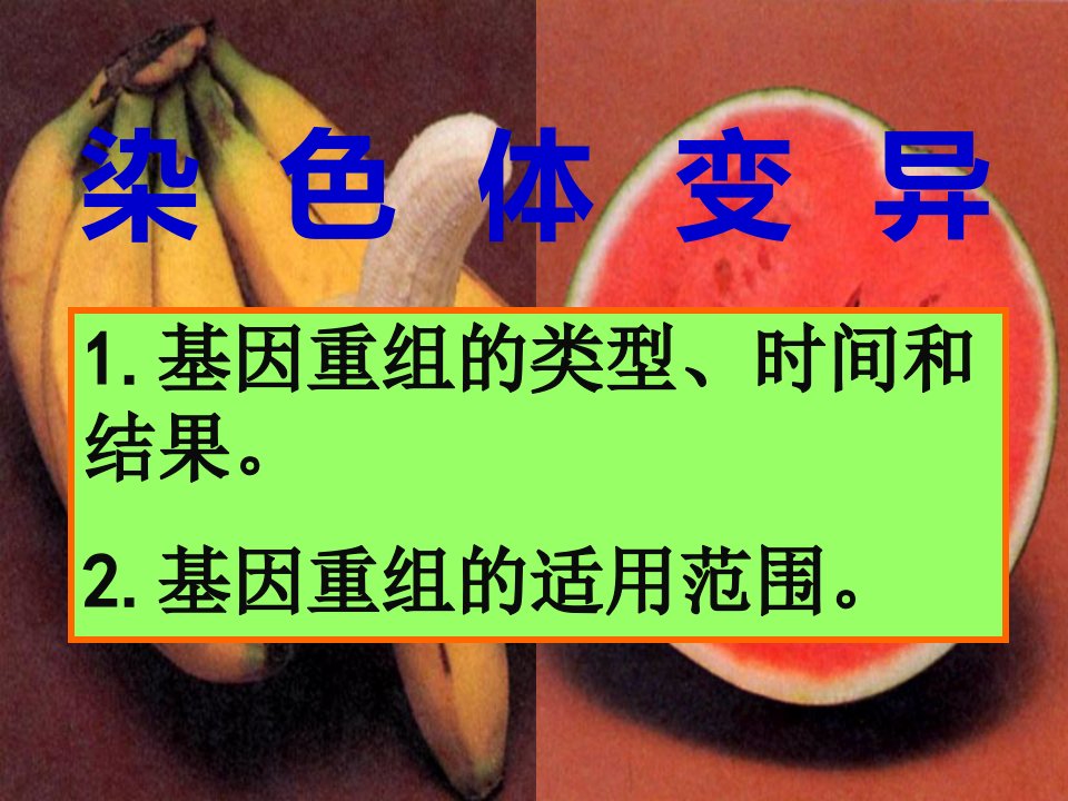 染色体变异高三复习