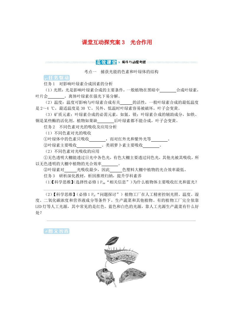 2024版新教材高考生物全程一轮总复习第三单元细胞的能量供应和利用课堂互动探究案3光合作用学生用书