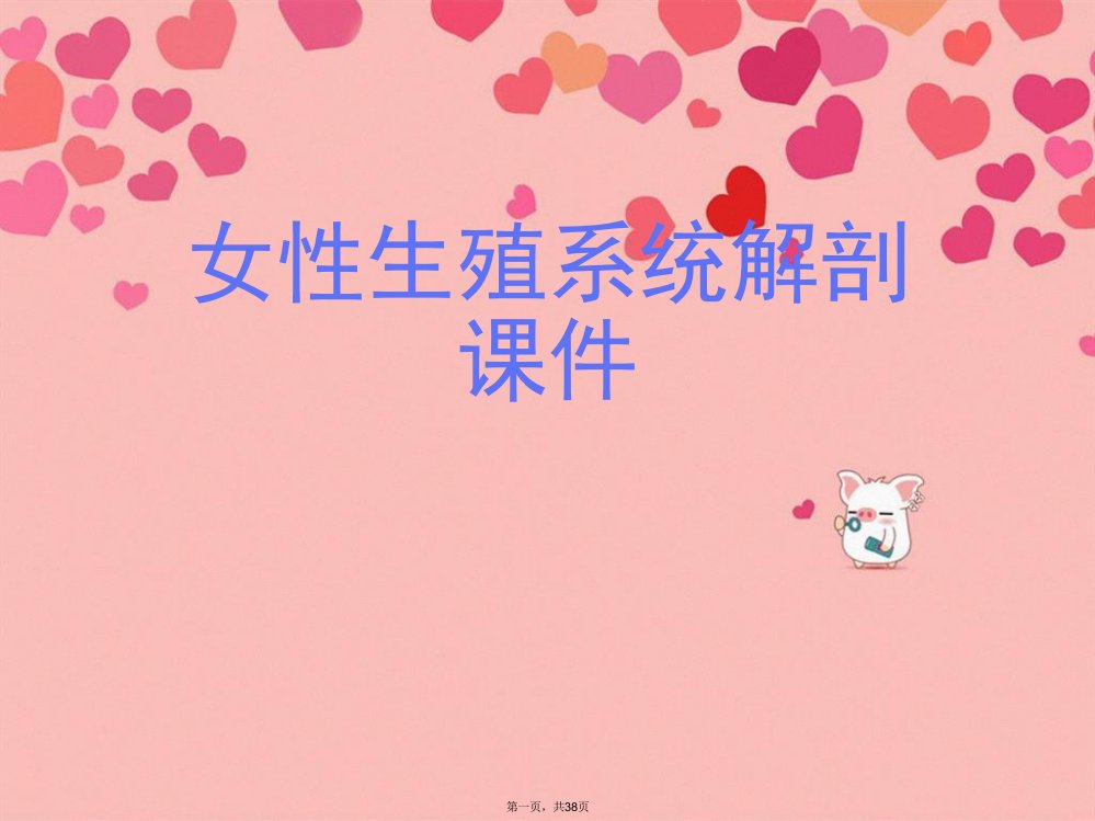 女性生殖系统解剖课件