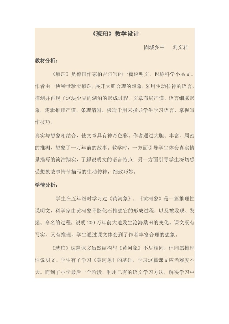 《琥珀》阅读指导课教案