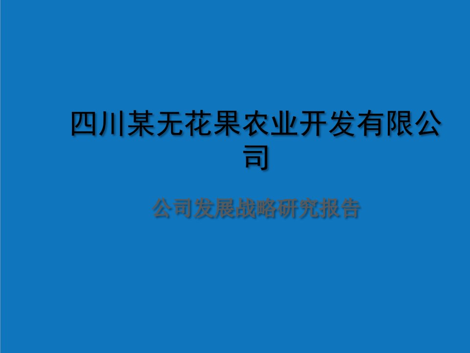 农业与畜牧-农业开发企业战略规划