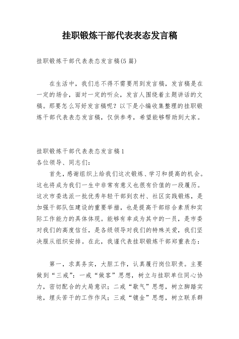 挂职锻炼干部代表表态发言稿_2