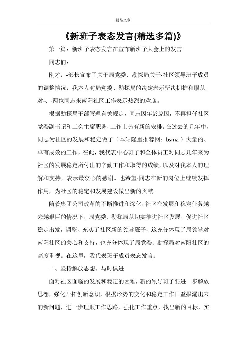 《新班子表态发言(精选多篇)》