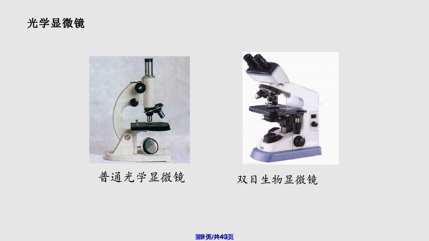 一练习使用显微镜件新人教