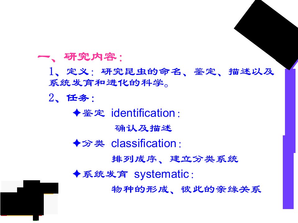 昆虫分类概述课件