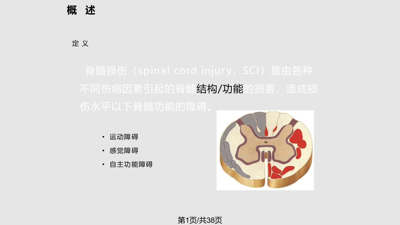 脊髓损伤的康复PPT课件