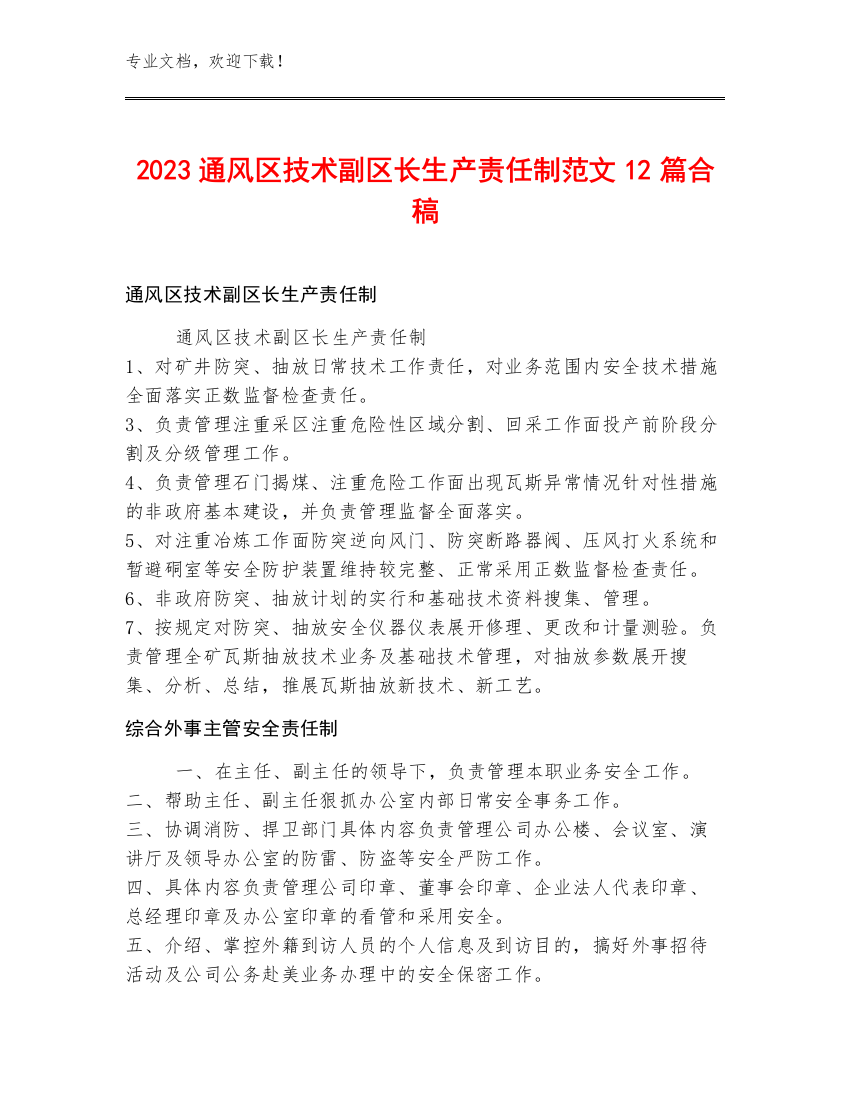 2023通风区技术副区长生产责任制范文12篇合稿