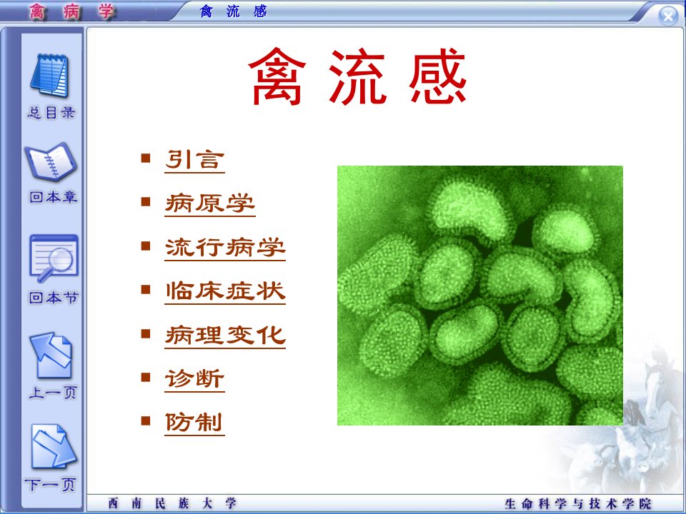 精品课程《禽病学》ppt