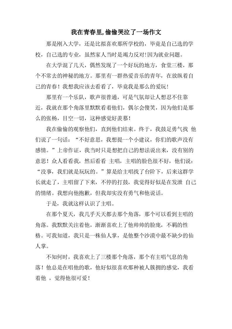 我在青春里,偷偷哭泣了一场作文