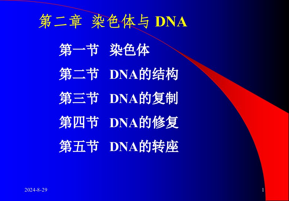 大学分子生物学经典课件第二章染色体与DNA