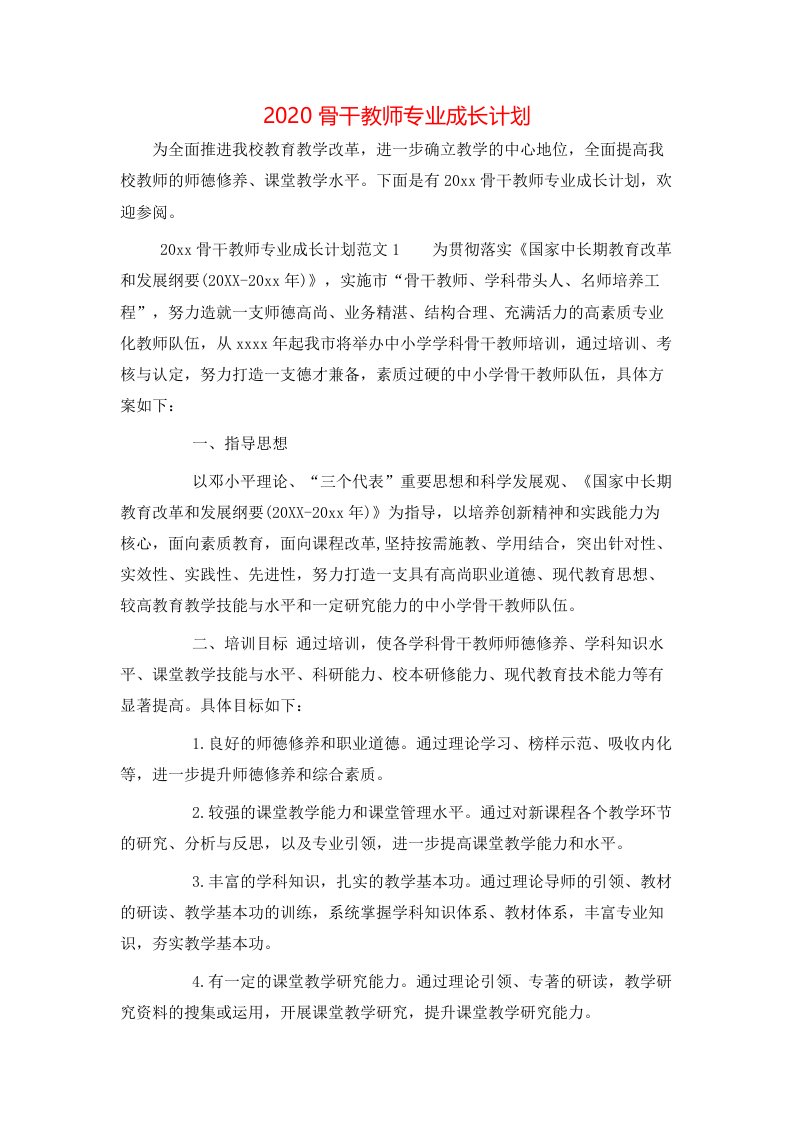 2020骨干教师专业成长计划