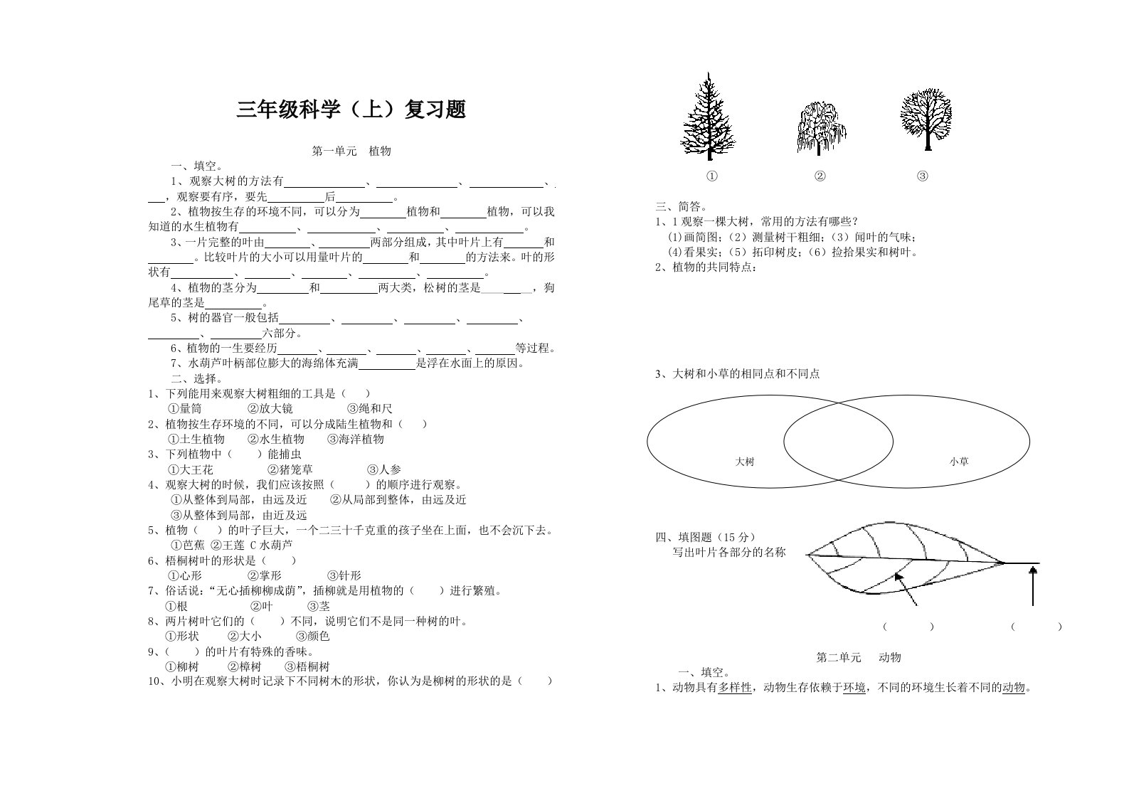 三年级科学复习题