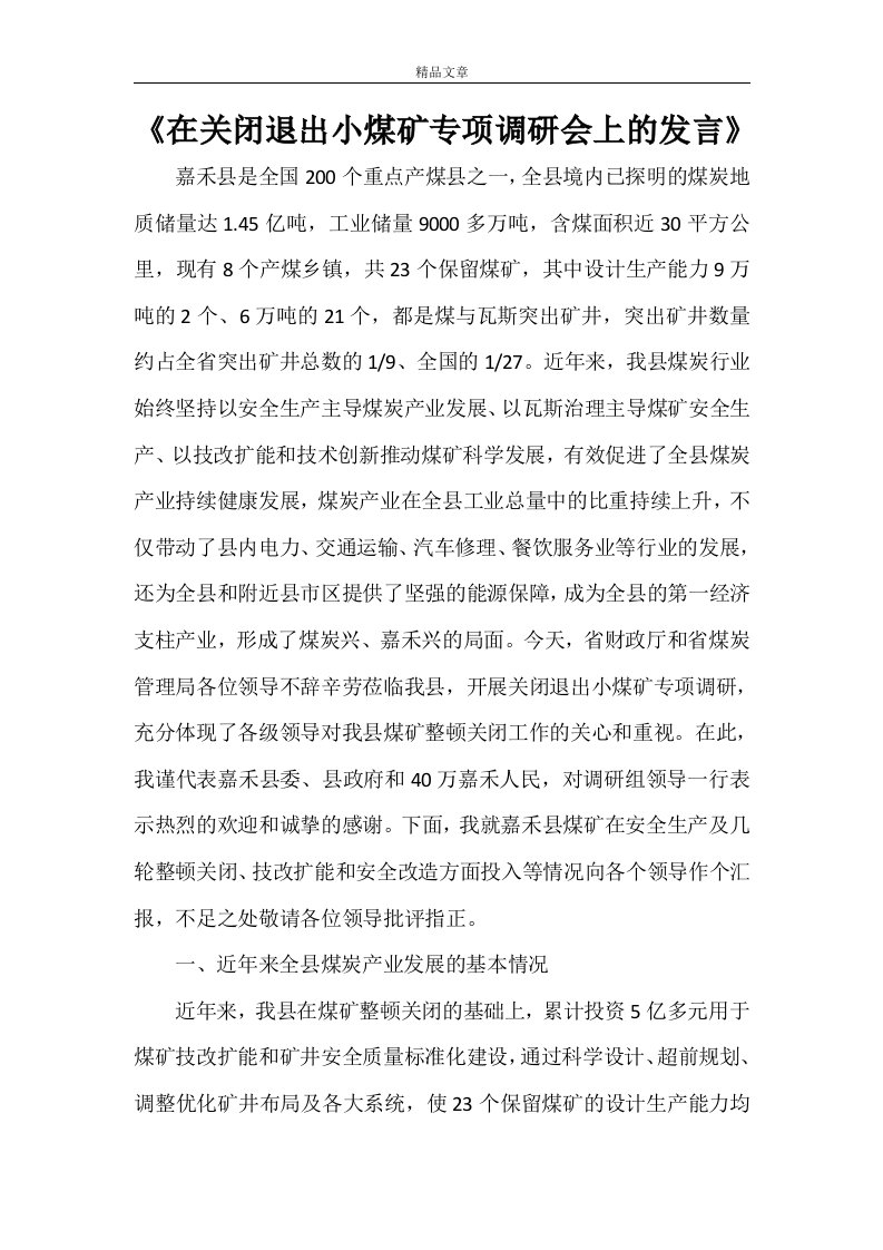 《在关闭退出小煤矿专项调研会上的发言》