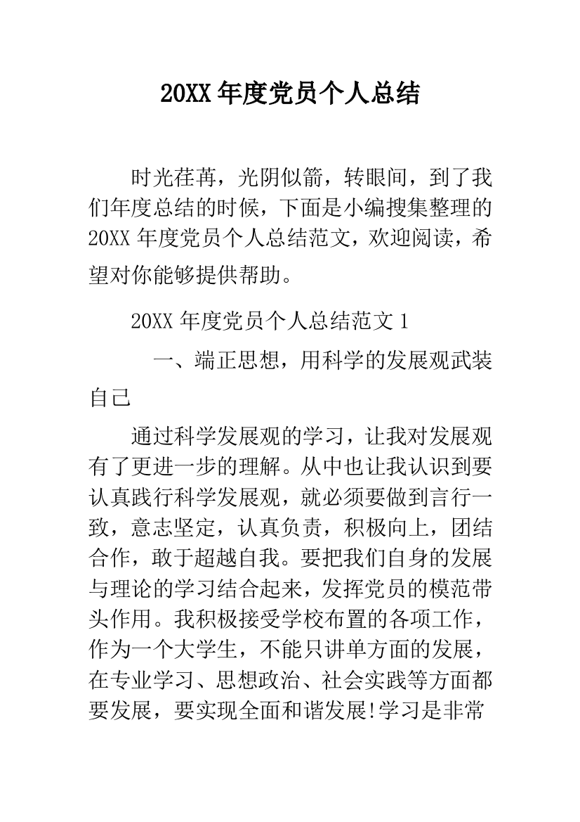 2019年度党员个人总结--精品范文