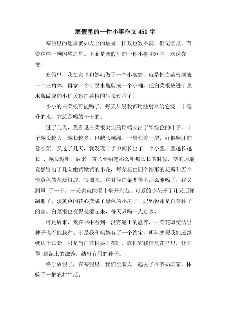 寒假里的一件小事作文450字