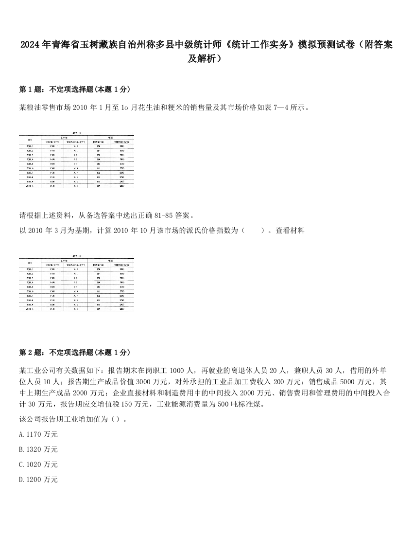 2024年青海省玉树藏族自治州称多县中级统计师《统计工作实务》模拟预测试卷（附答案及解析）