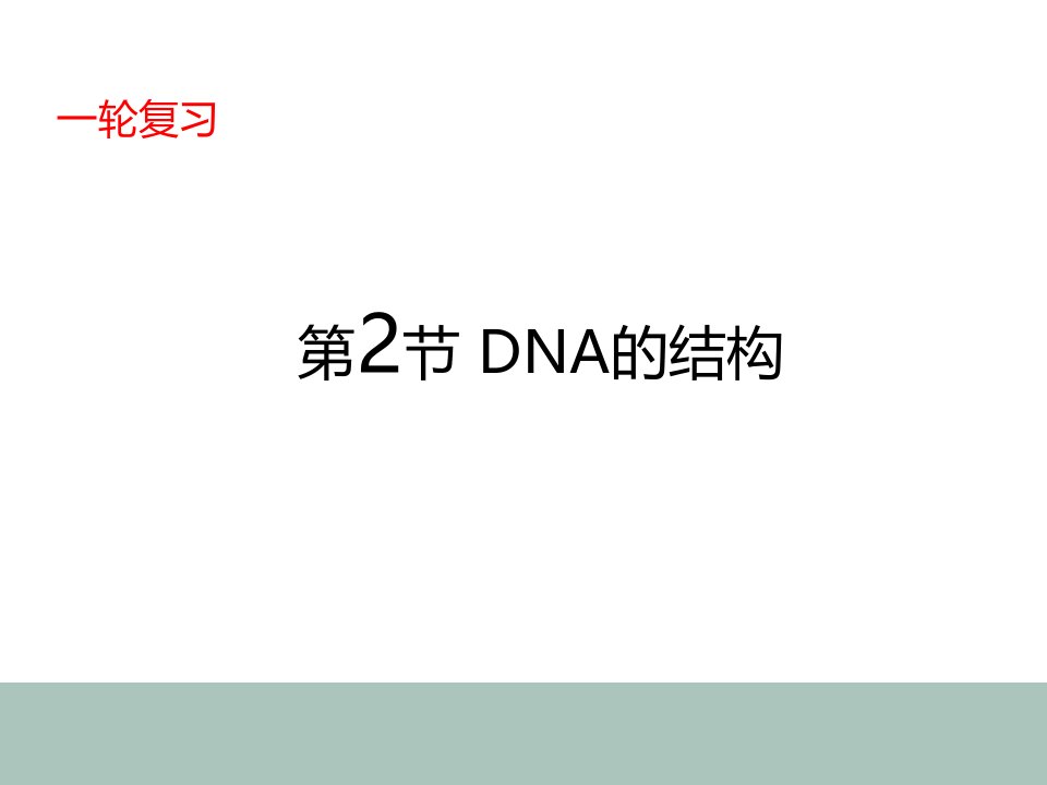 高中生物一轮复习DNA的结构课件