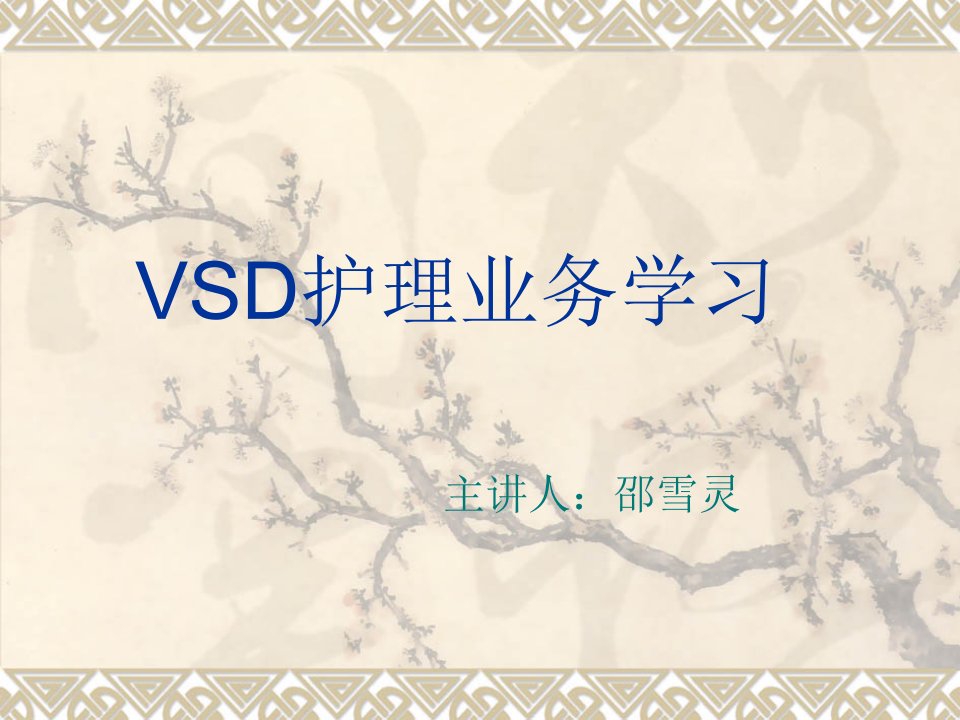 VSD护理业务学习