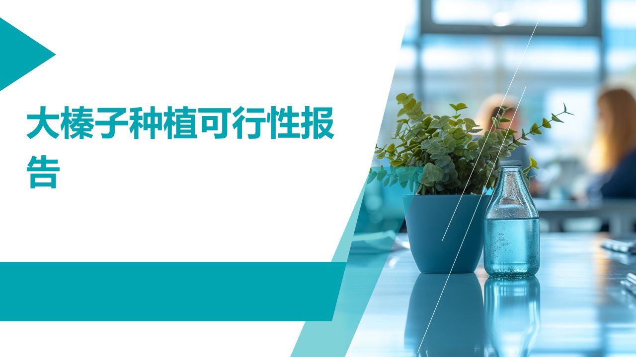 大榛子种植可行性报告