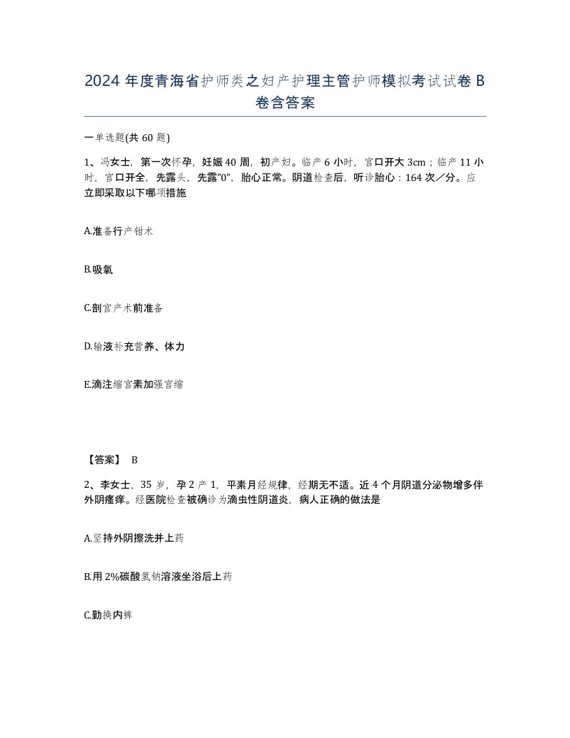 2024年度青海省护师类之妇产护理主管护师模拟考试试卷B卷含答案