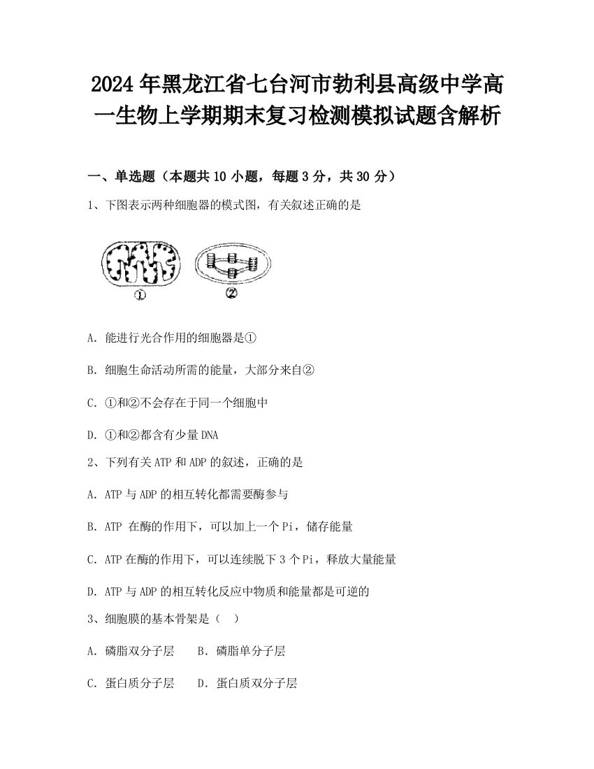 2024年黑龙江省七台河市勃利县高级中学高一生物上学期期末复习检测模拟试题含解析