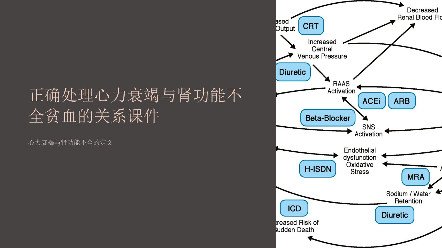 正确处理心力衰竭与肾功能不全贫血的关系课件