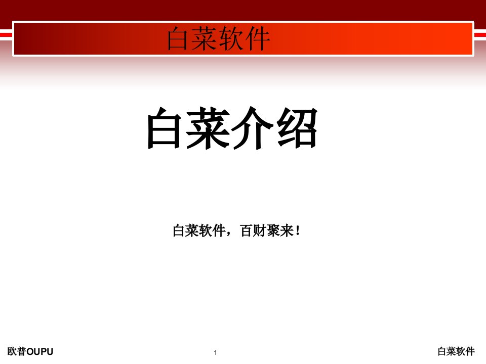 欧普通用进销存SAAS白菜产品介绍