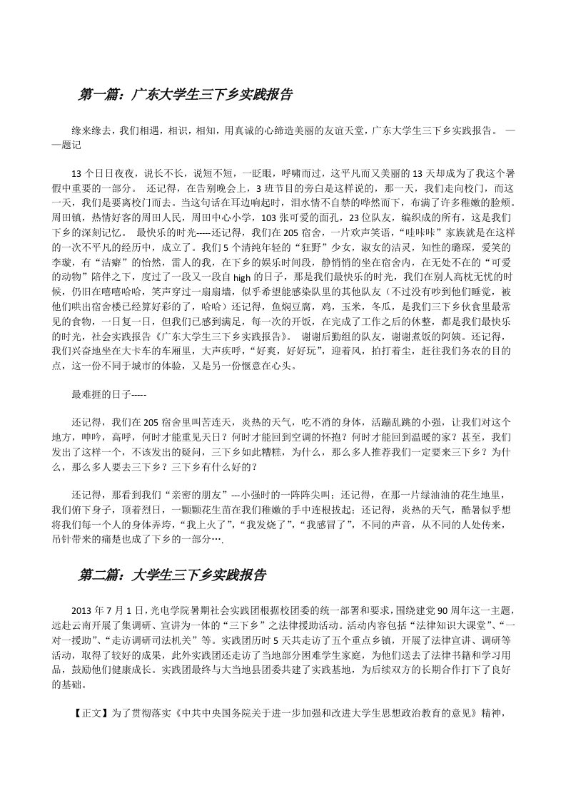 广东大学生三下乡实践报告[修改版]