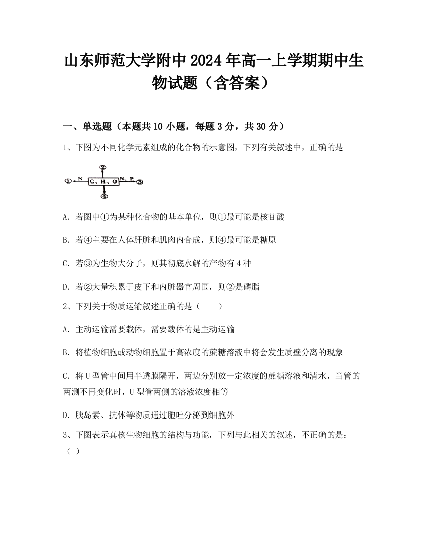 山东师范大学附中2024年高一上学期期中生物试题（含答案）