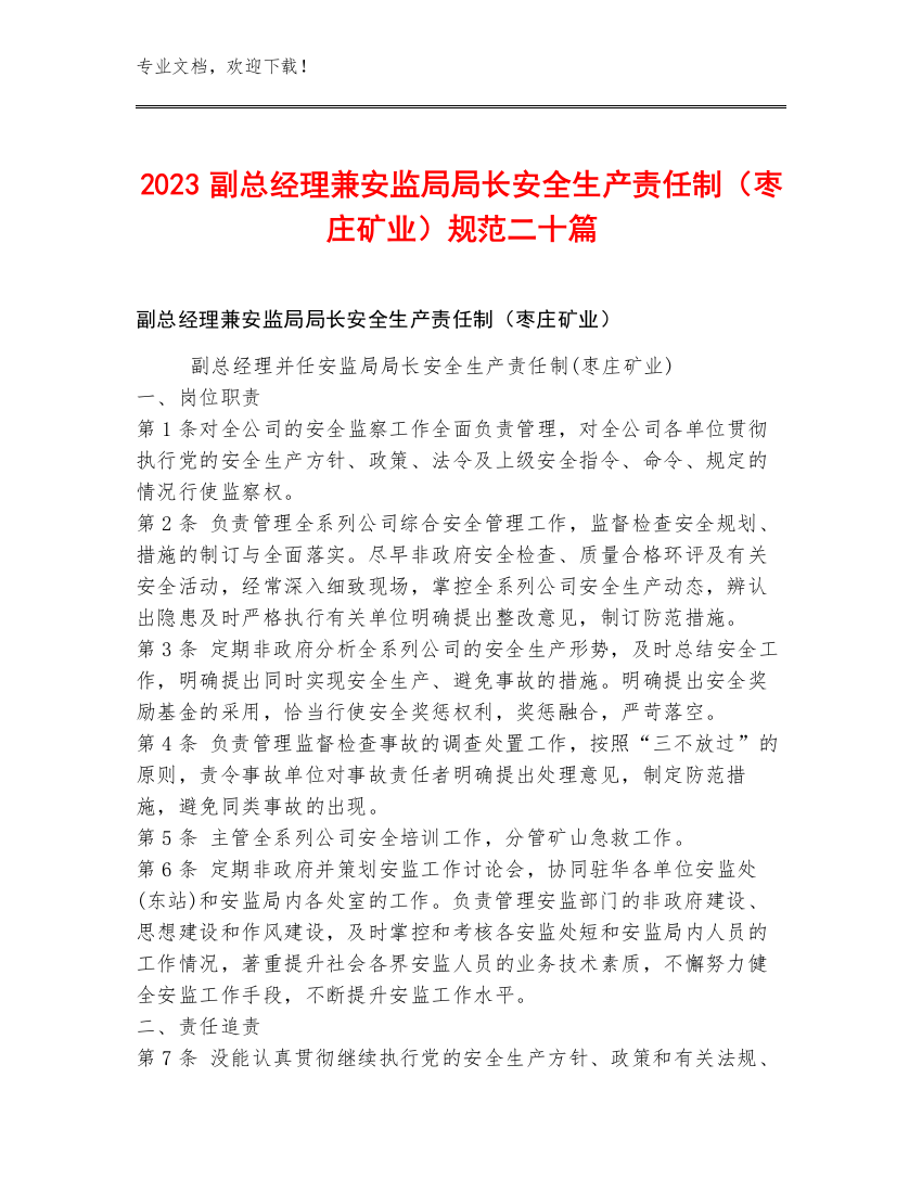 2023副总经理兼安监局局长安全生产责任制（枣庄矿业）规范二十篇